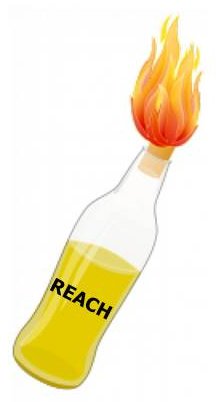 2016 REACH fire accel